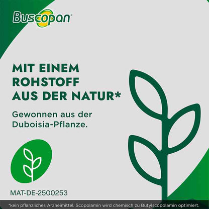 BUSCOPAN 부스코판 100정