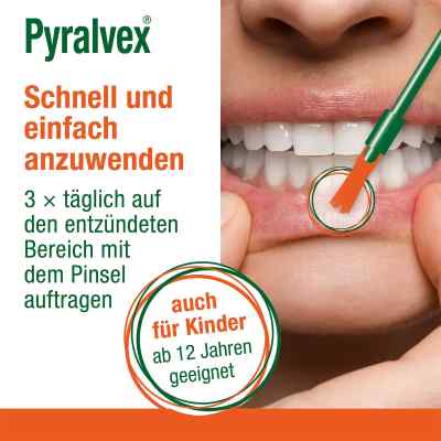 PYRALVEX 피랄벡스 용액 10ml